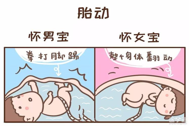 包生男孩-包生男孩:成长的故事