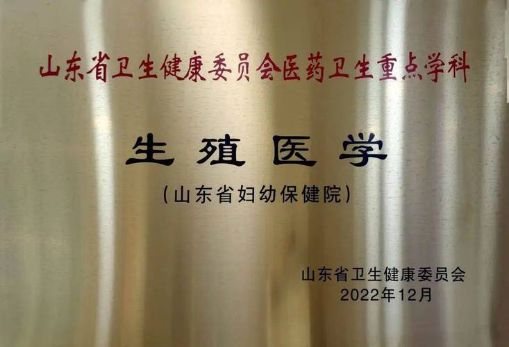 代生男孩包成功_代生男孩包成功:一场奇迹的诞生